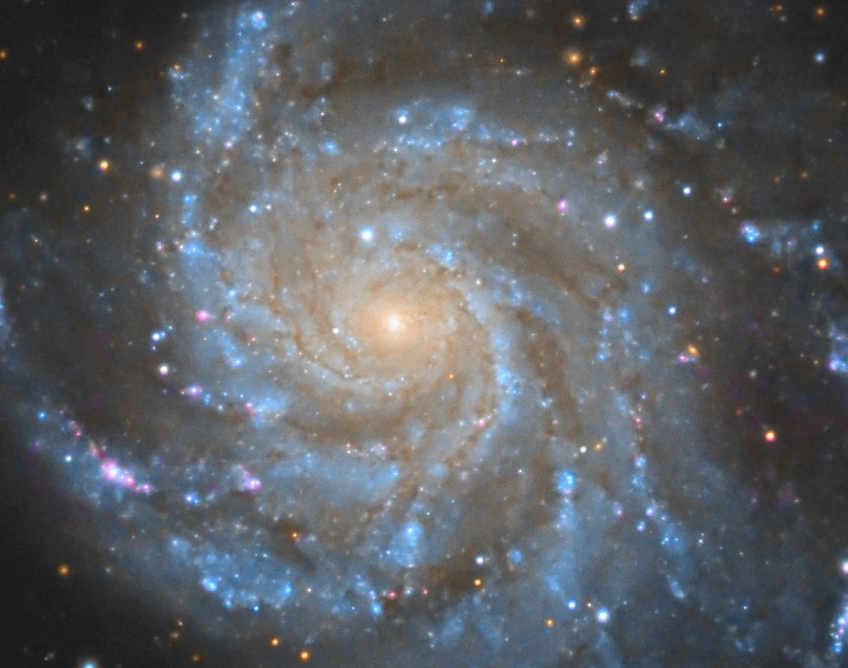 M101 picture